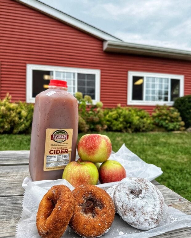 Plymouth Orchards