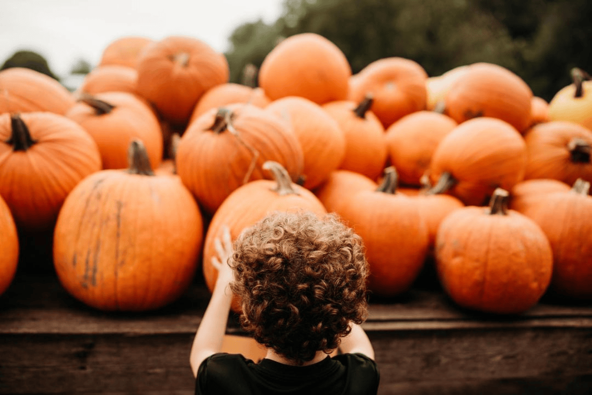 Pumpkin Patch