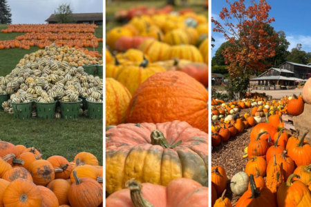 Pumpkins