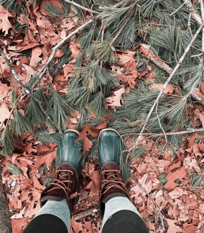 Stony Creek Metropark, Shelby Township - Fall Hiking Trails