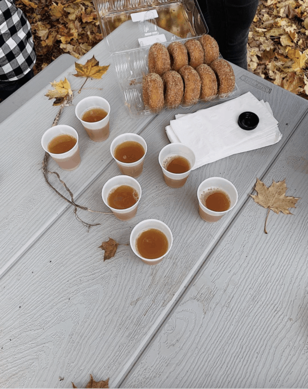 Stony Creek Orchard &Amp; Cider, Romeo - Metro Detroit Apple Orchards &Amp; Cider Mills