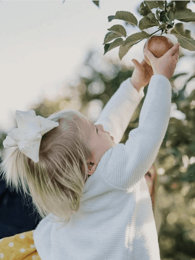 Unique Fall Things to Do in Northern Michigan