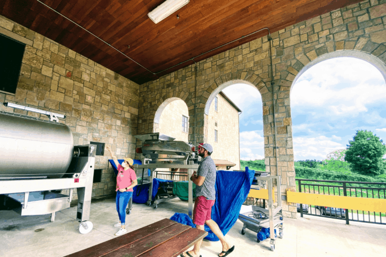 Mari Vineyards, Traverse City - Mari Vineyards