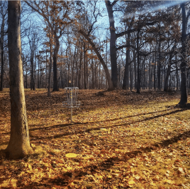 Disc Golf - Ella Sharp, Jackson - Fall in Southcentral Michigan