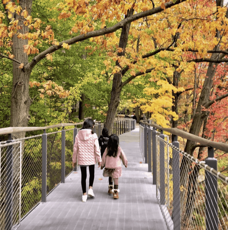 Dow Gardens, Midland - Fall Scenic Overlooks