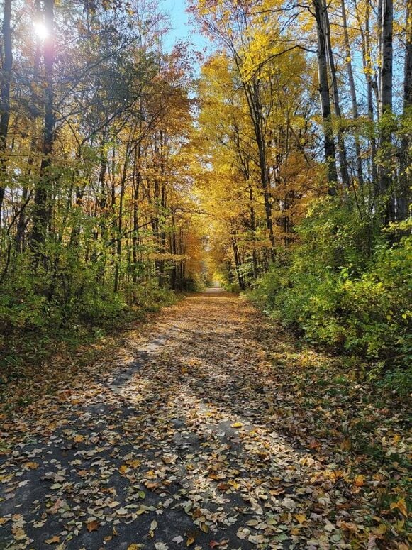 Hart-Montague Bicycle Trail Park-New Era