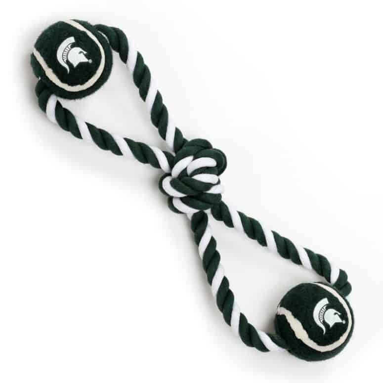 Ultimate Michigan Gift Guide