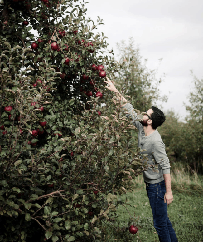 Wyrick's Orchards, St Johns - Mid-Michigan Apple Orchards &Amp; Cider Mills