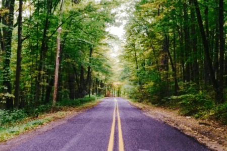 Kalamazoo Michigan Fall Color Tour: 4 Can’T-Miss Roads For A Fall Scenic Drive In West Michigan