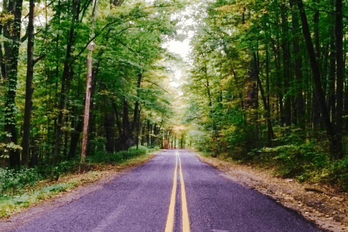Kalamazoo Scenic Fall Drives Header