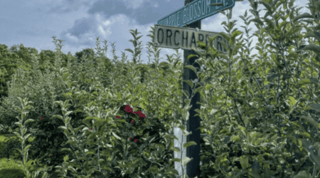 10 Best Northern Michigan Apple Orchards & Cider Mills