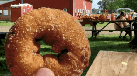 11 Can’T-Miss Metro Detroit Apple Orchards & Cider Mills In Southeast Michigan