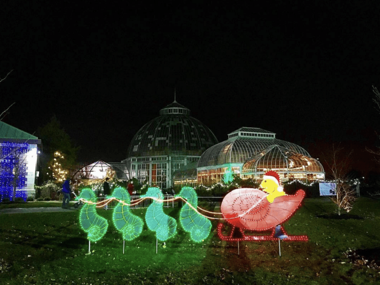 Belle Isle Holiday Stroll, Detroit - Winter In Metro Detroit