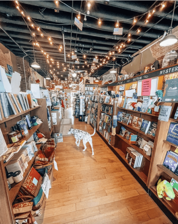 Fenton’s Open Book, Fenton - Winter In Fenton