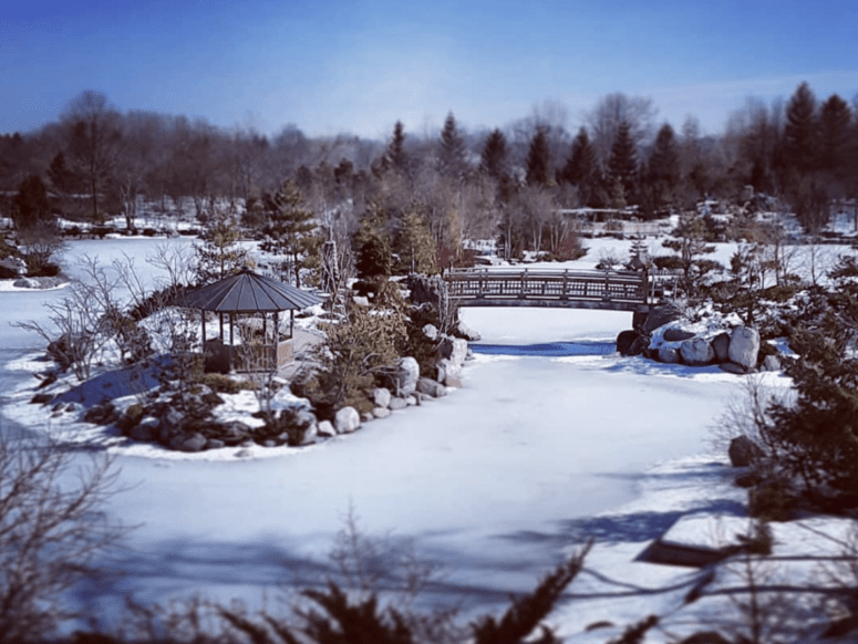 Frederik Meijer Gardens &Amp; Sculpture Park, Grand Rapids - Winter In Grand Rapids