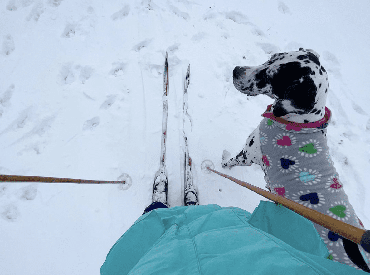 20+ Best Cross Country Skiing Trails in Metro Detroit