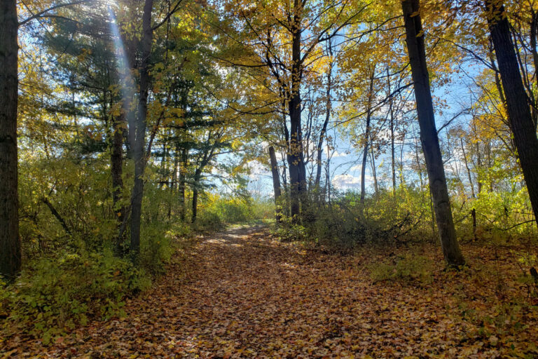 Inwood Rustic Trails