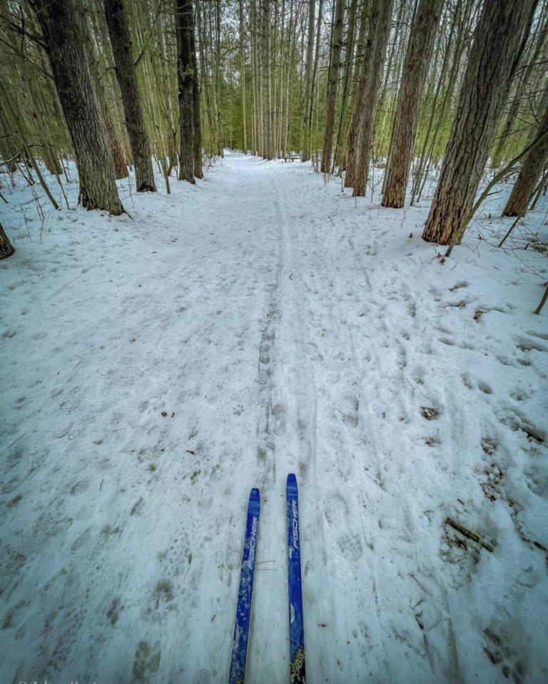 18 Excellent MidMichigan Cross Country Ski Trails for Thrilling Winter Fun