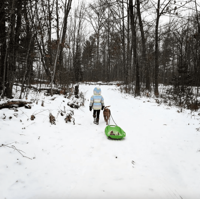Nara Nature Park - Michigan Tech Winter Carnival
