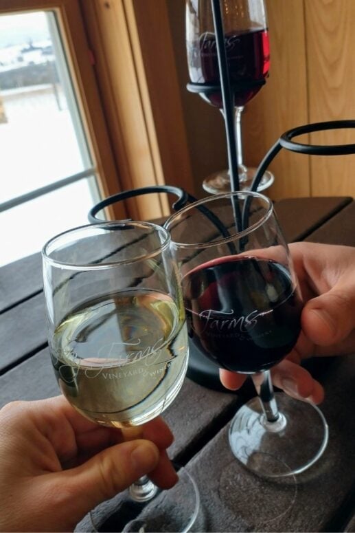 Two Glasses Of Wine Clinking Indoors At Petoskey Farms Vineyard &Amp; Winery