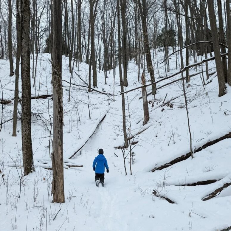Petoskey Winter Sports Park-Petoskey-5