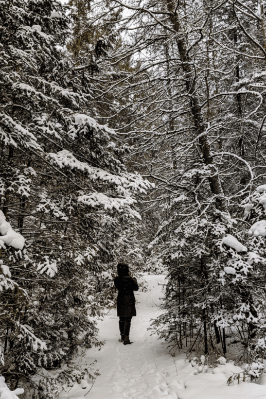 Winter Hiking, Trail 