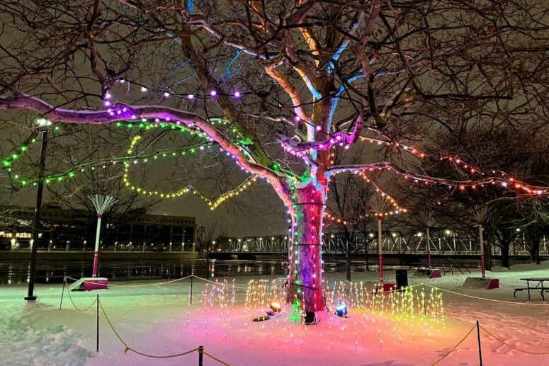 World Of Winter 2026