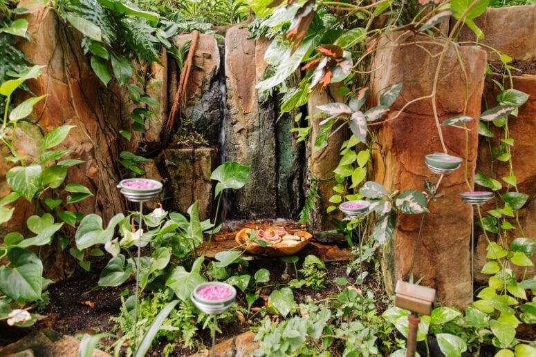 Butterflies At Meijer Gardens