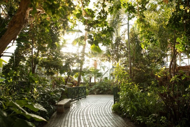 Butterflies At Meijer Gardens