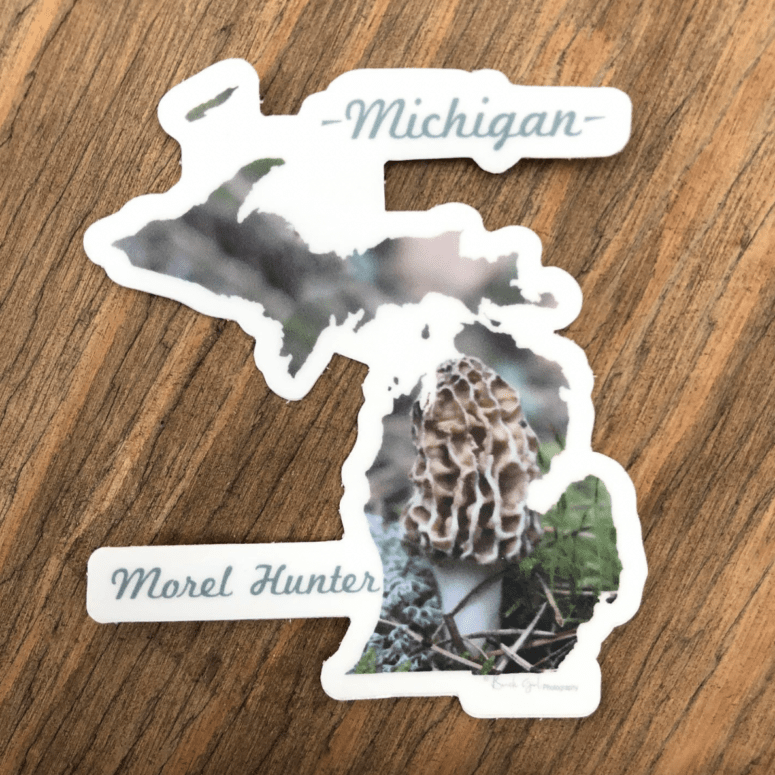Morel Mushrooms