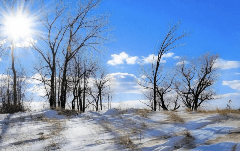 Port Crescent State Park, Port Austin - Port Crescent State Park