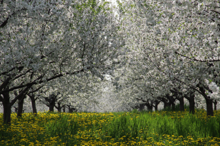 15 Awesome Spring Things to Do in Northern Michigan