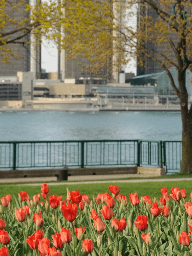 5 Best Michigan Spring Break Destinations Near Metro Detroit