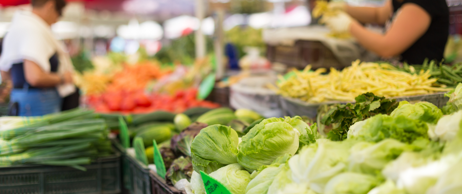 Michigan Farmers Market