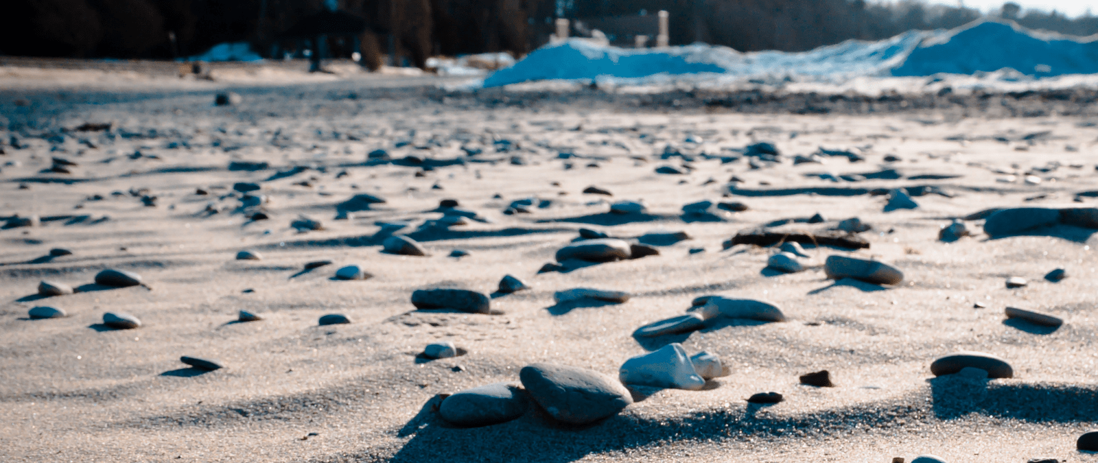 Rockhounding On Michigan Beaches In The Spring - Hunting For Petoskey Stones
