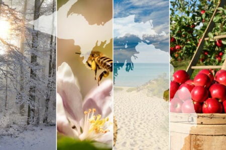 10 Reasons I Can’T Wait To Go Back To Michigan
