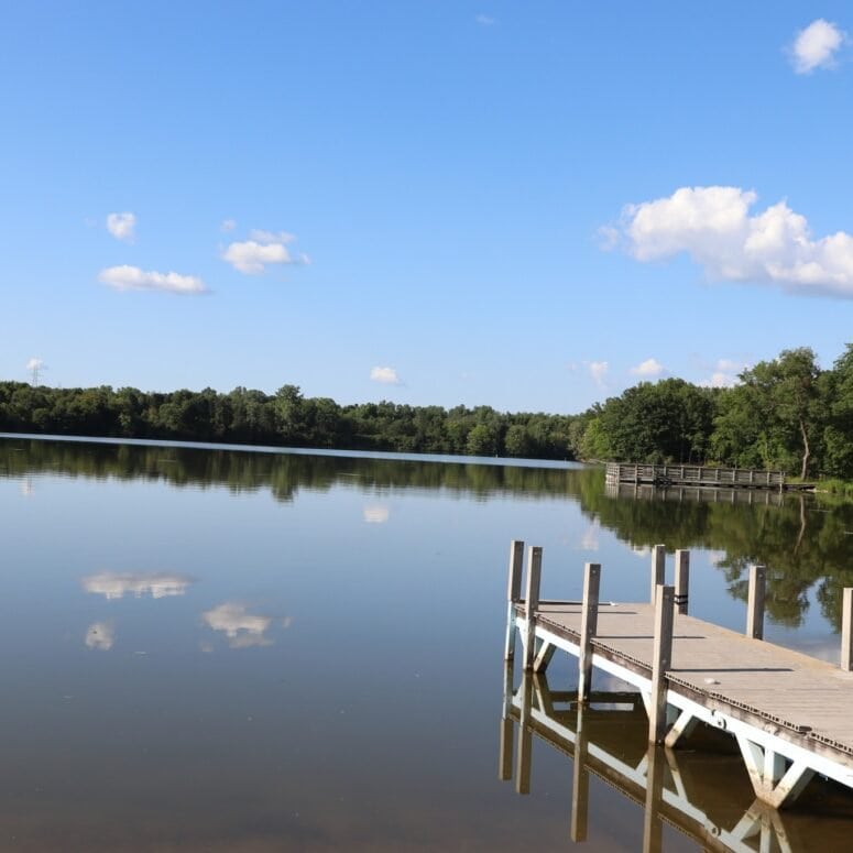 Mott Lake - Flint