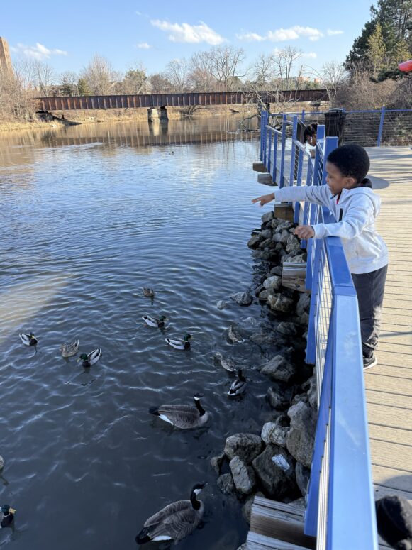 Play Michigan! All Inclusive Playground