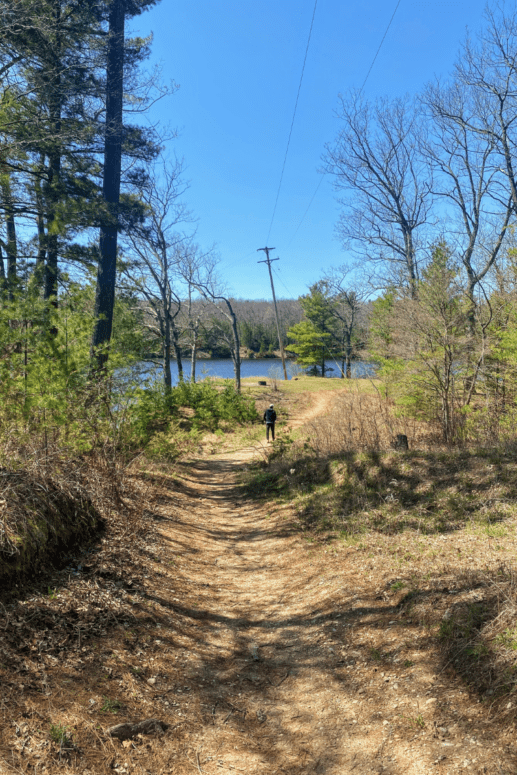 Campsite Trail, Cooke Pond