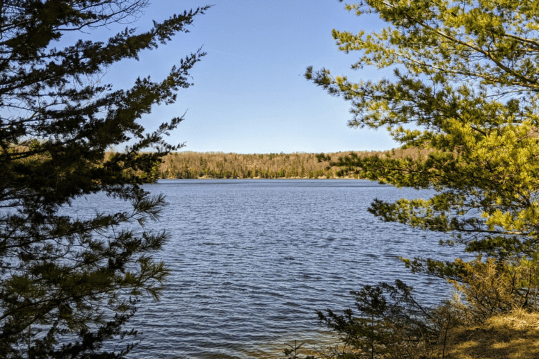 Au Sable River Trail