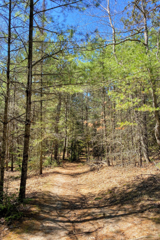 Hiking Trail, Highbanks
