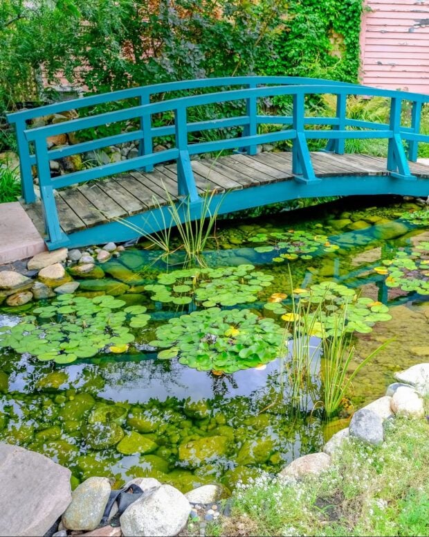 Monet Garden Of Muskegon,Mi