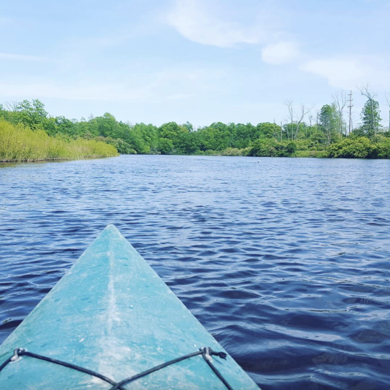 8 Excellent Places to Go Kayaking in Michigan This Summer