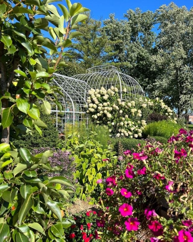 Taylor Conservatory &Amp; Botanical Gardens