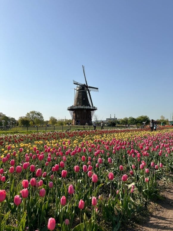 Windmill Island Gardens