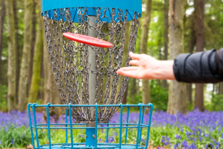 Disc Golf Courses