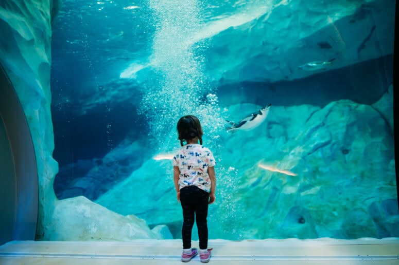 Explore Michigan More 2024 104