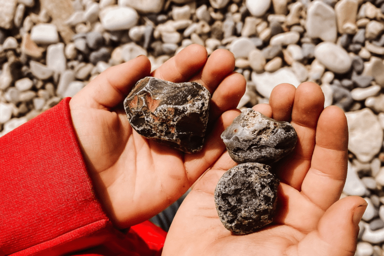Child Hands Holding Rocks At Fayette