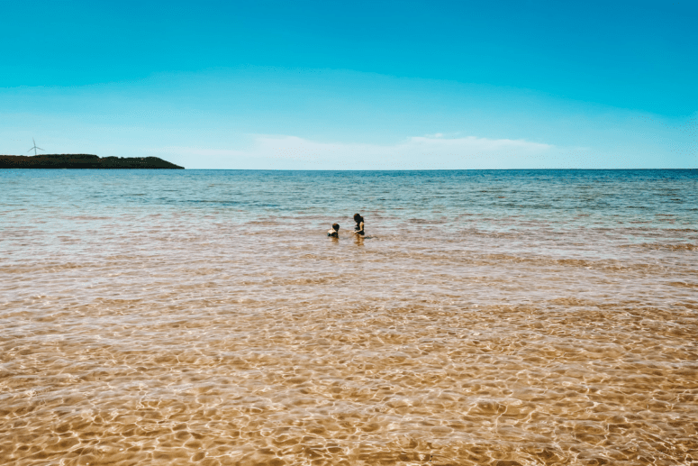 Children Playing In Lake On A Sunny Day