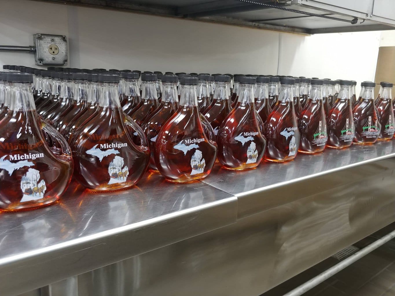 Maple Farm Rabat 9 BEST Things to Do in March in Michigan 2026